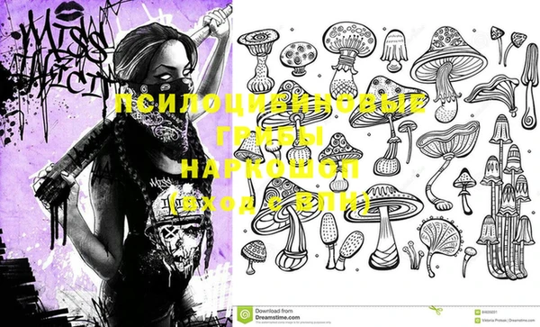 меф Кодинск