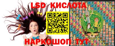 молекула духа Кандалакша