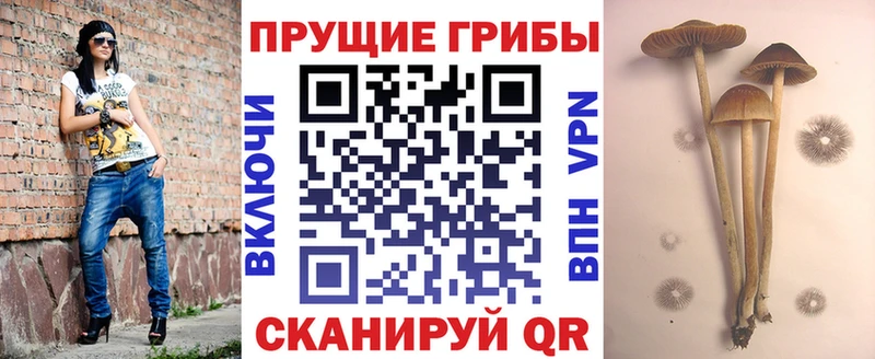 Псилоцибиновые грибы GOLDEN TEACHER  Мелеуз 