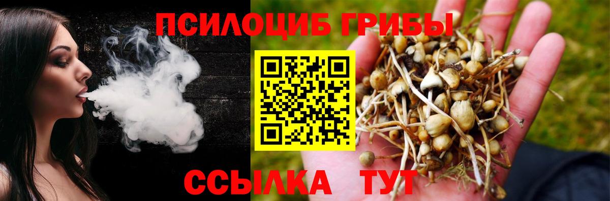 Галлюциногенные грибы Magic Shrooms  Псилоцибиновые грибы Magic Shrooms  Мелеуз  Вход с VPN 